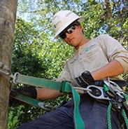 Lineman climbing pole